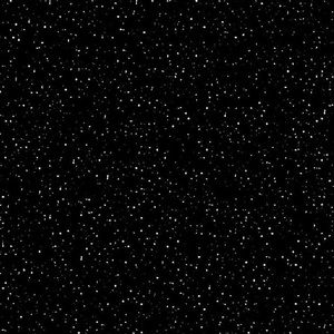 Meet your Posher, Lilly